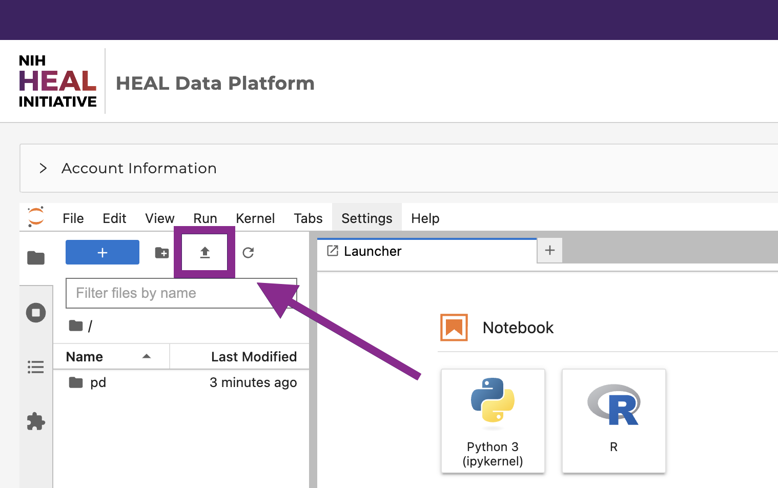 Upload data files or Notebooks to the workspace by clicking on “Upload” in the top left corner.